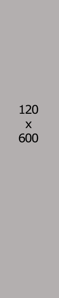 120x600 ad space