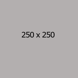 250x250 ad space