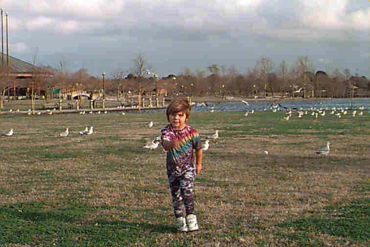 Click on the Streets Surrounding Icon to the left for Maps of Metairie.  This is a photo taken at Lafeniere Park.    Click on the link to Jefferson Parish in the main text below for a short history of Jefferson Parish.  If you know some interesting facts about Metairie which you would like to submit, please view our HELP file or click the E-mail icon at the bottom of the left index frame. 